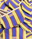 The Pouch Amalfi Stripe