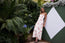 Cottage Point Dress Chilli