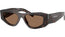 0PRB19S Sunglasses Root Tort