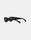 06YS Sunglasses Black