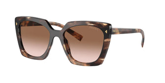 PR23ZS Sunglasses Caramel Tortoise