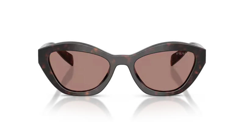 A02 Sunglasses Root Tortoise