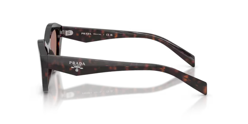 A02 Sunglasses Root Tortoise