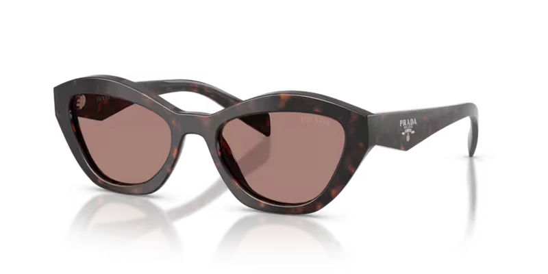 A02 Sunglasses Root Tortoise