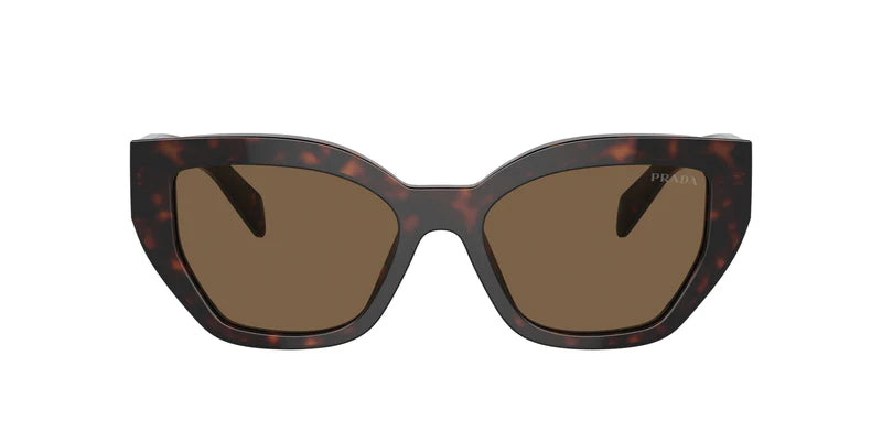 A09S Sunglasses Tortoise