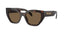A09S Sunglasses Tortoise