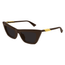 BV1446 Sunglasses Brown