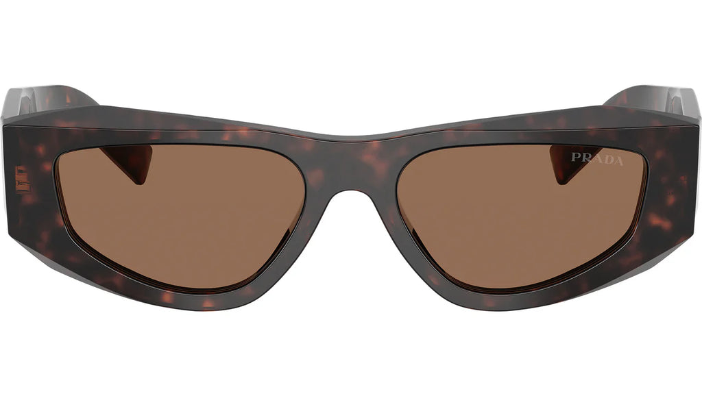 0PRB19S Sunglasses Root Tort