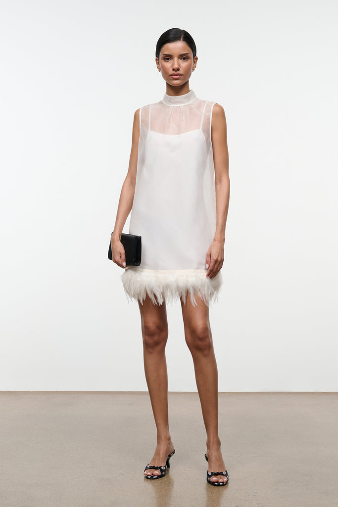 Albee Mini Dress Ivory