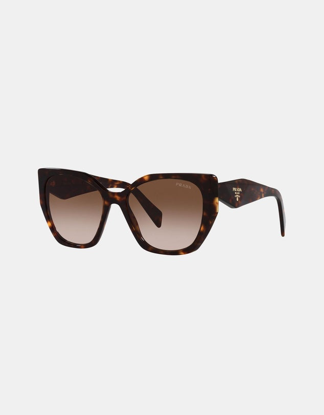 PR19ZS Sunglasses Tort