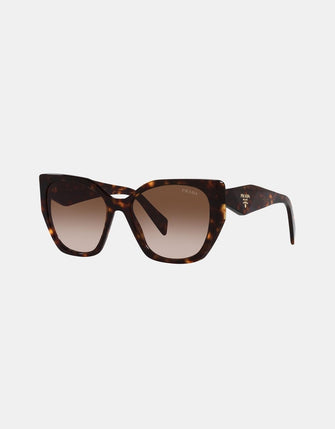 PR19ZS Sunglasses Tort