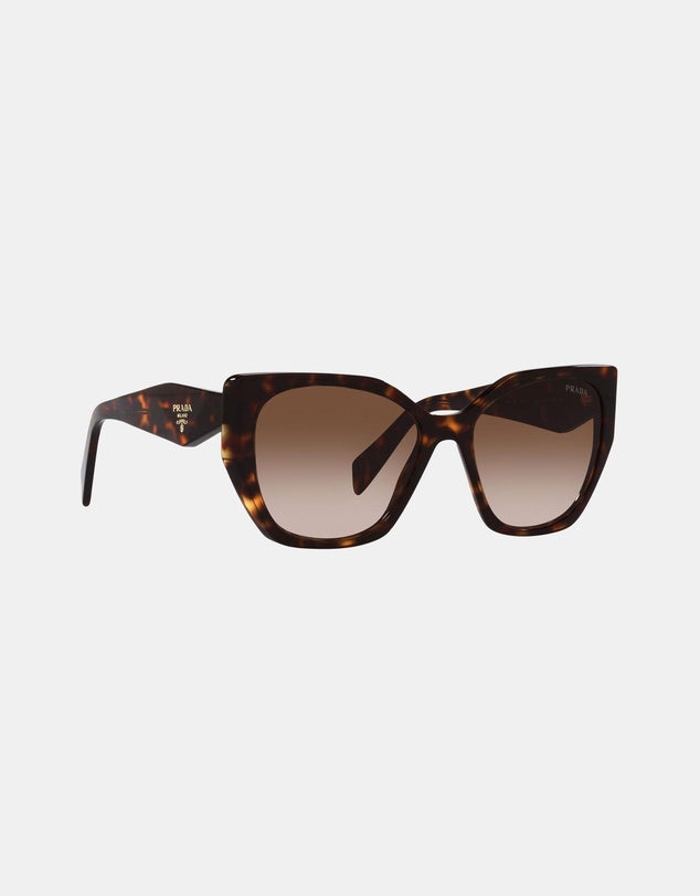 PR19ZS Sunglasses Tort