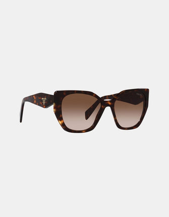 PR19ZS Sunglasses Tort