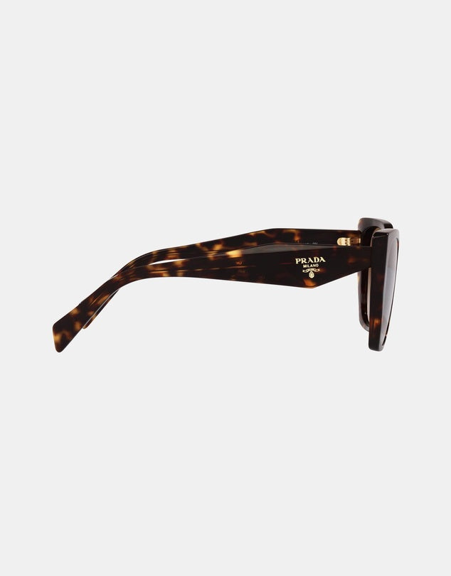 PR19ZS Sunglasses Tort