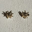Soleil Earrings