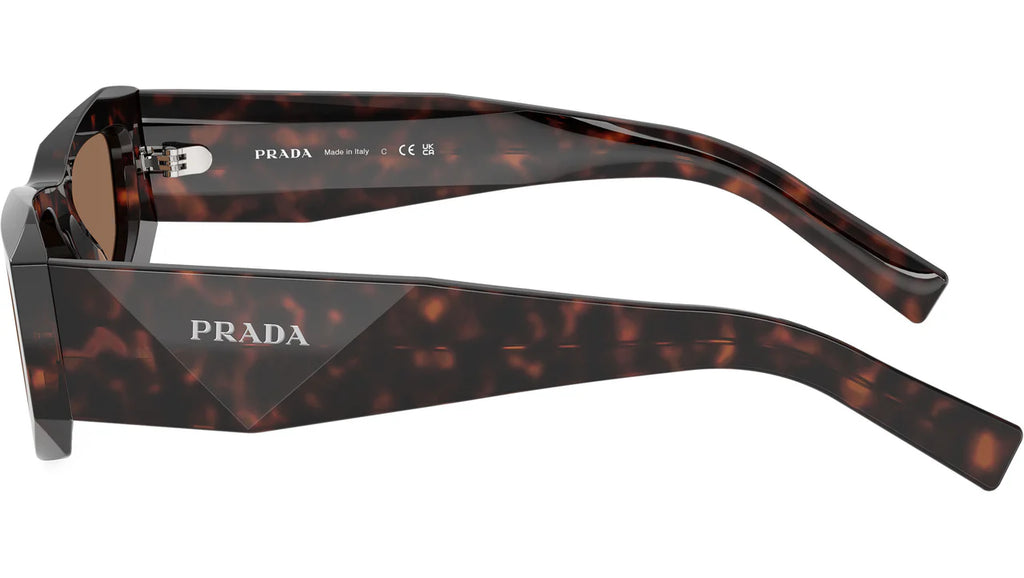 0PRB19S Sunglasses Root Tort