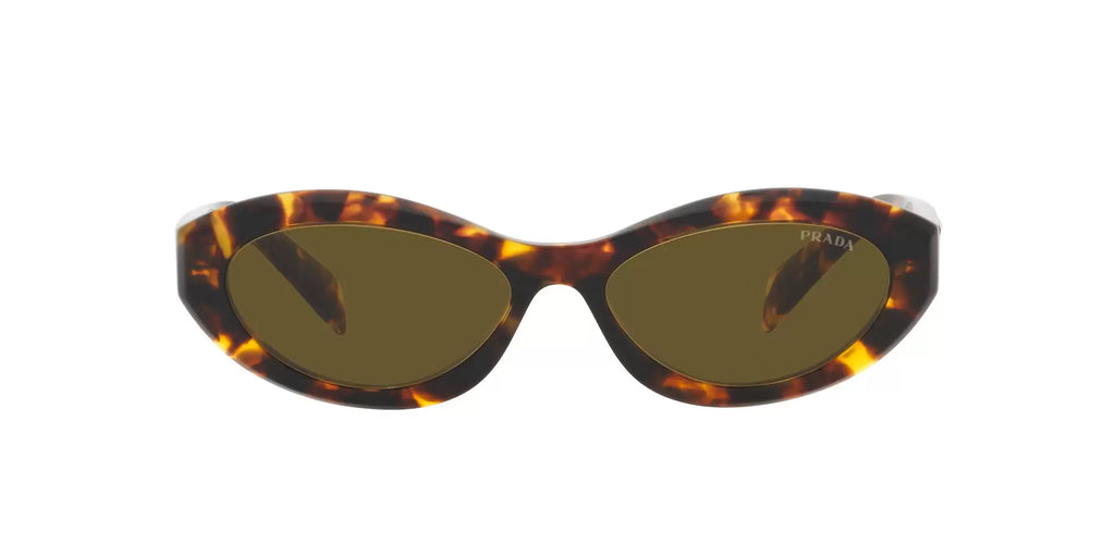 26ZS Sunglasses Honey Tortoise