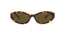 26ZS Sunglasses Honey Tortoise