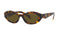 26ZS Sunglasses Honey Tortoise