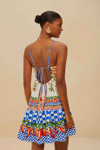 Picnic Peppers Mini Dress