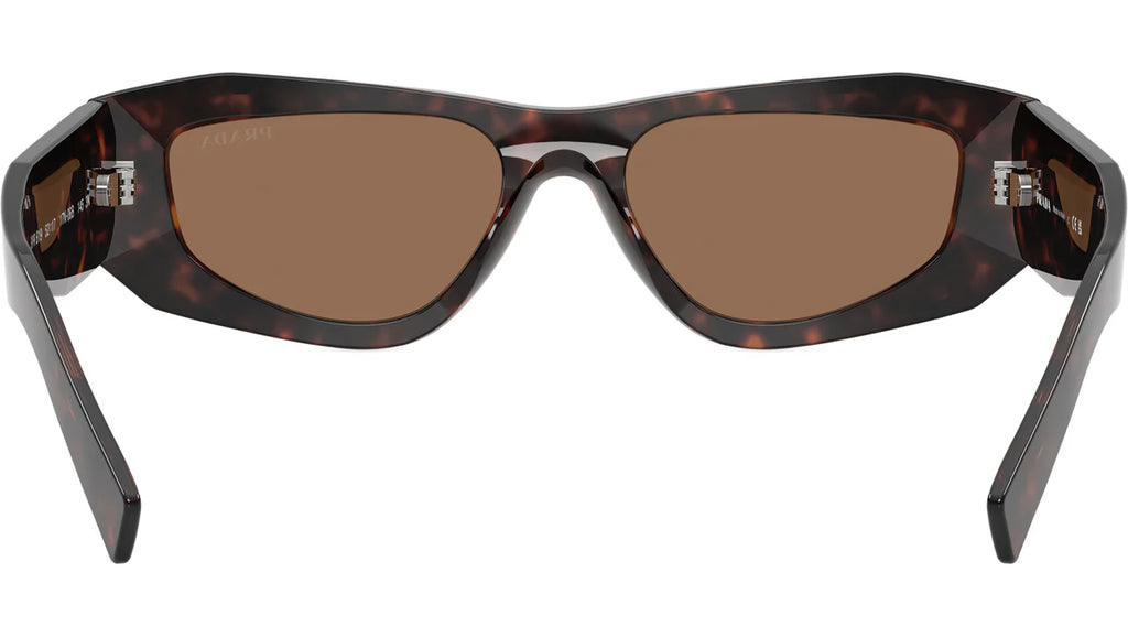 0PRB19S Sunglasses Root Tort