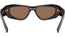 0PRB19S Sunglasses Root Tort