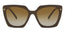PR23ZS Sunglasses Brown Polarized