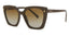 PR23ZS Sunglasses Brown Polarized