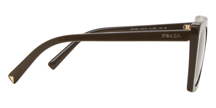 PR23ZS Sunglasses Brown Polarized