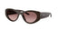 0PRD23SU Sunglasses Cigar Brown Gradient