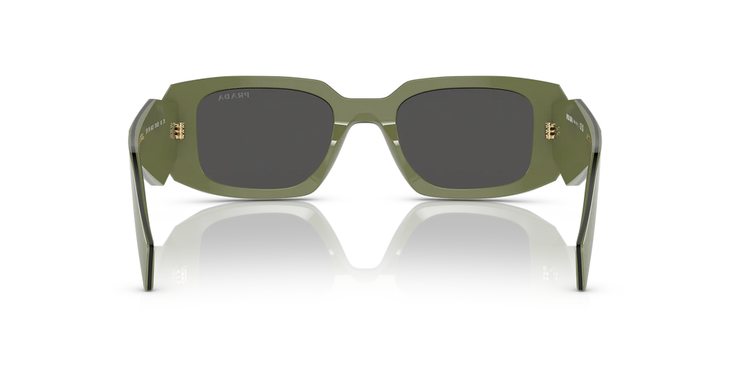 17WS Sunglasses Sage