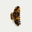 Grande Claw Clip Classic Tortoiseshell