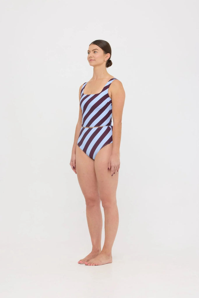 Ted Swim Tank Dusty Blue Plum