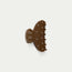 Pretty Midi - Chocolate
