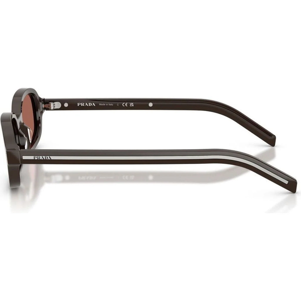 0PRD06S Sunglasses Cigar