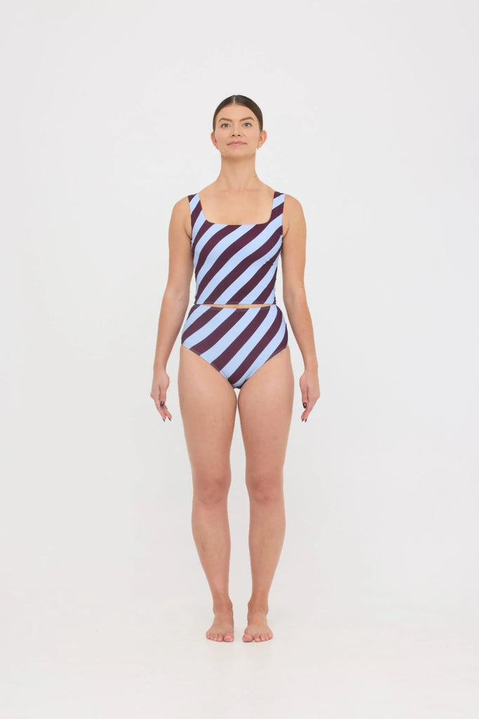 Ted Swim Tank Dusty Blue Plum