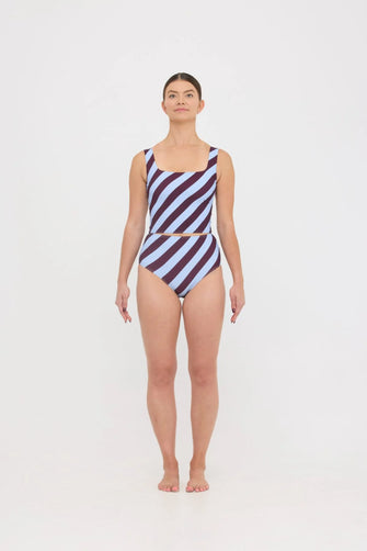 Ted Swim Tank Dusty Blue Plum