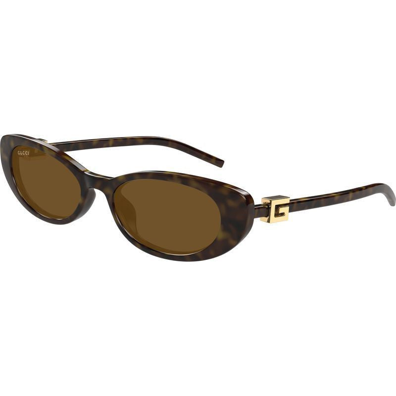 GG1680 Havana Sunglasses