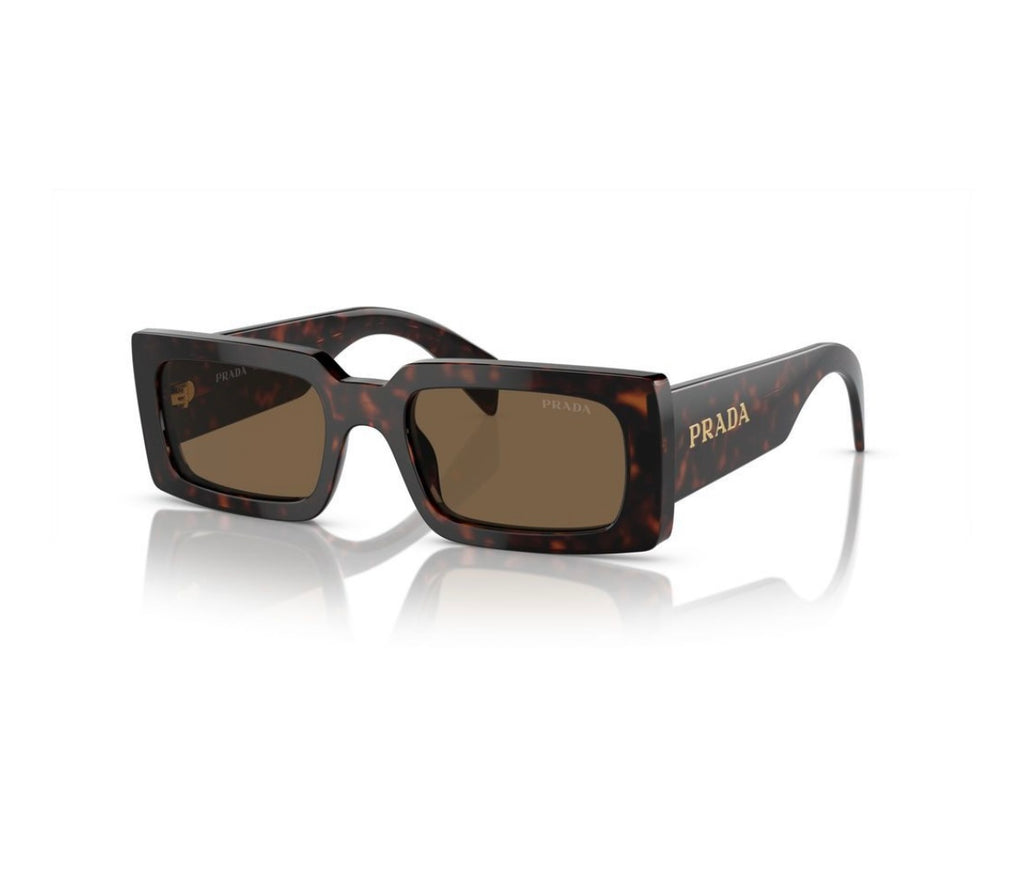 A07S Tort with Dark Brown Sunglasses