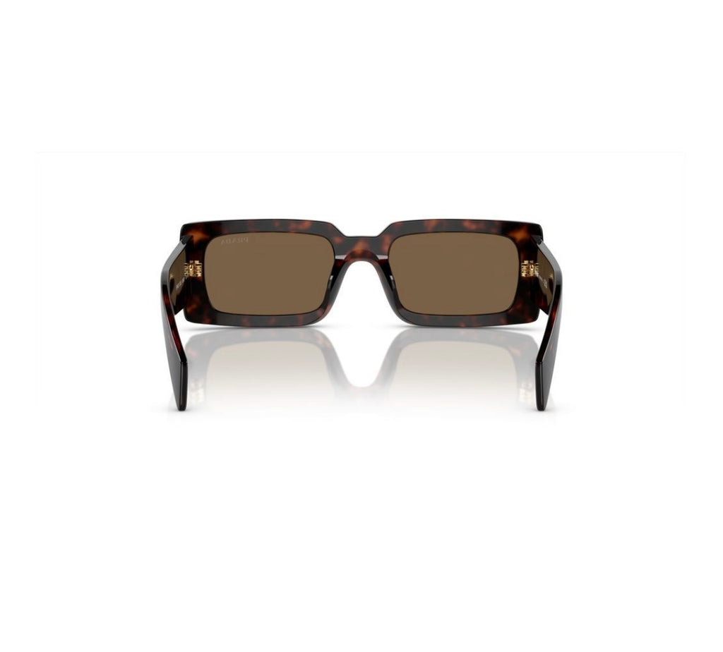 A07S Tort with Dark Brown Sunglasses
