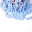 Medusa Vase M Dark Ruby Blue PRE-ORDER