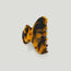 Midi Claw Clip Classic Tortoiseshell