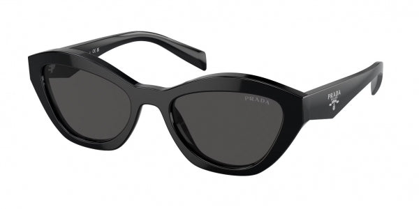 A02S Sunglasses Black