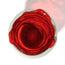 Pompitu Vase S Red Matte Aqua PRE-ORDER