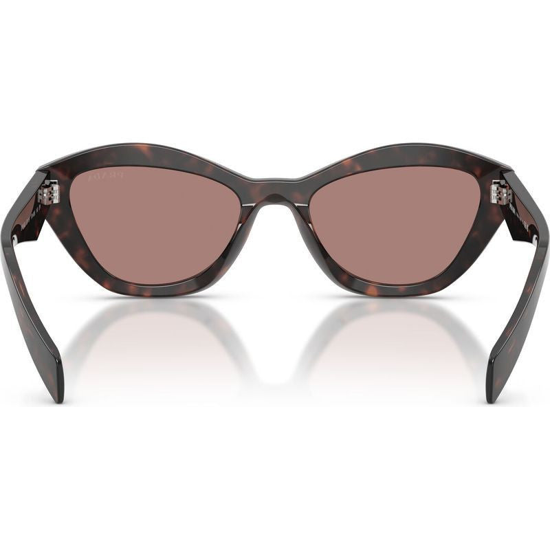 PRA02S Sunglasses Tortoise