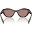 PRA02S Sunglasses Tortoise