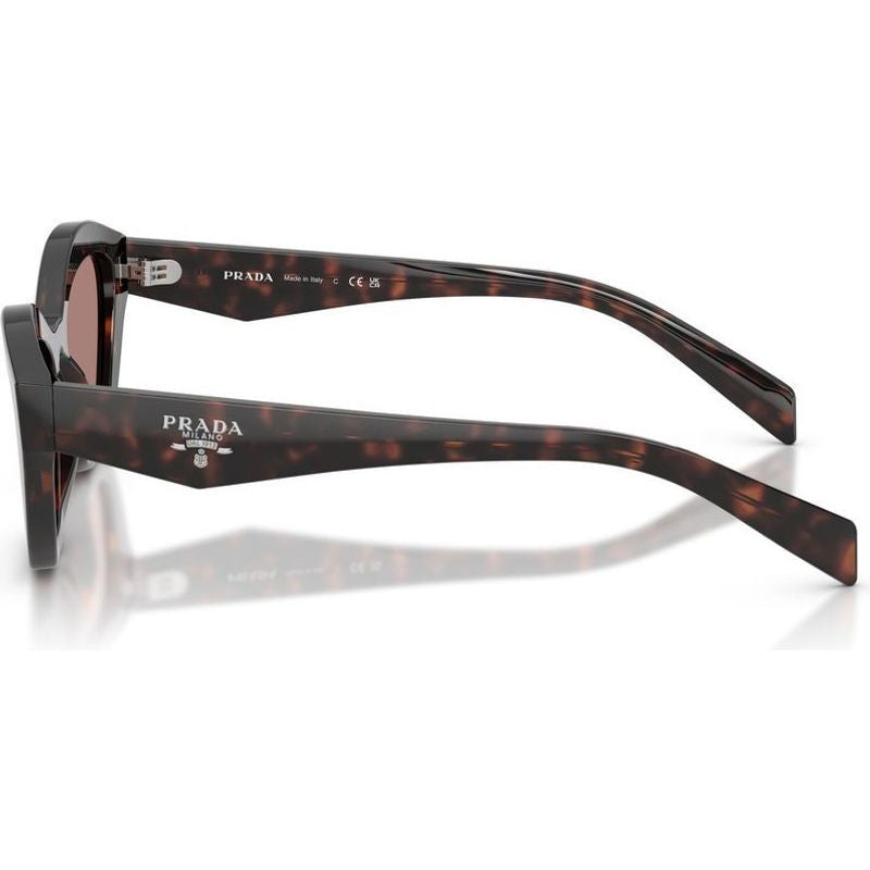 PRA02S Sunglasses Tortoise