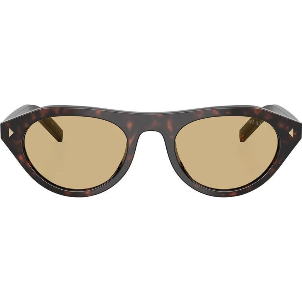 0PRB15S Sunglasses Root Tortoise