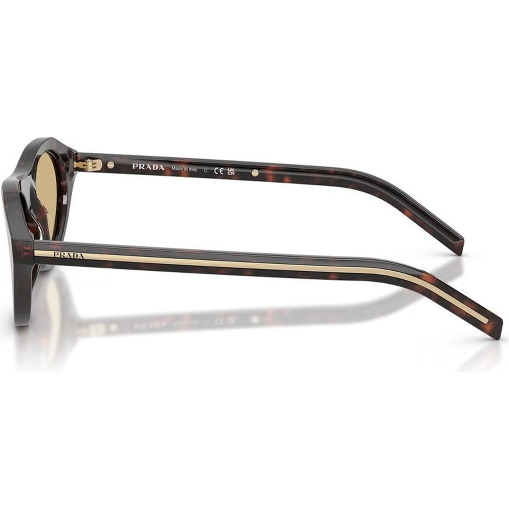 0PRB15S Sunglasses Root Tortoise