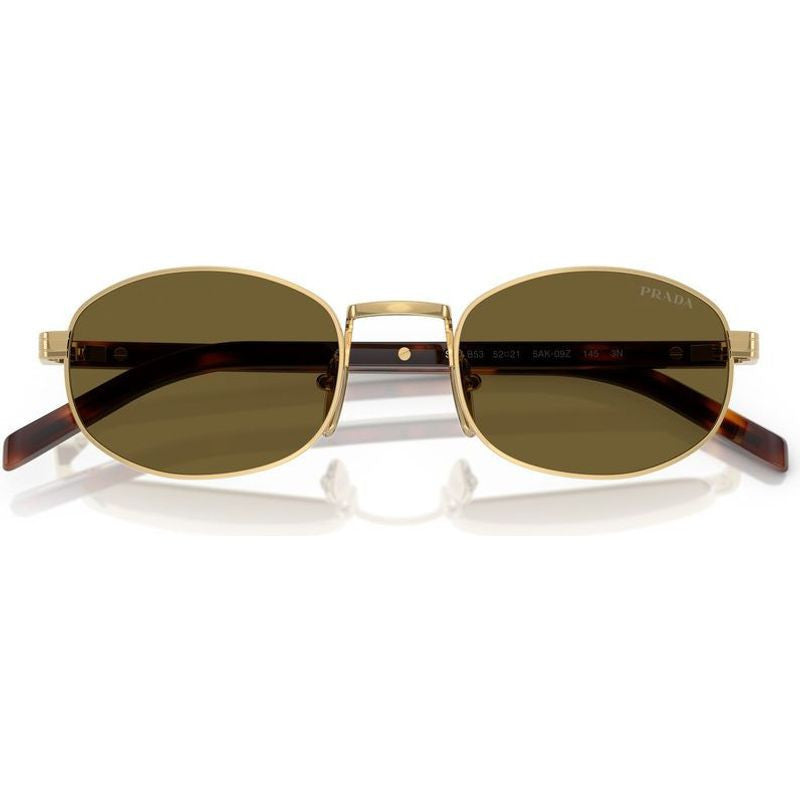 PRB53S Sunglasses Gold Dark Brown